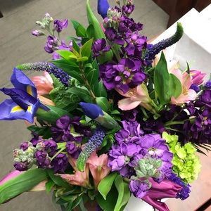 Meet your Posher, Chelsea